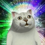 Telegram profile photo for Paw家猫咪课堂