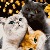 Telegram profile photo for Кіцюни🐱