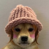 Telegram profile photo for Dogawifcoin