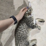 Telegram profile photo for The part of me .
