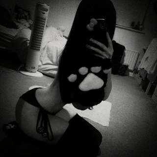 Telegram profile photo for bot punched