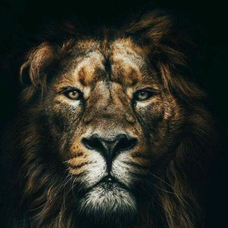 Telegram profile photo for መረጃ