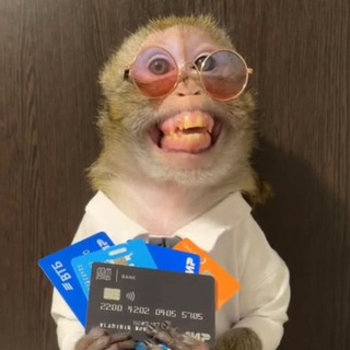 Telegram profile photo for Бобр