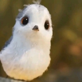 Telegram profile photo for новоафонский собор