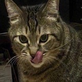 Telegram profile photo for Чутотш, кофе молш