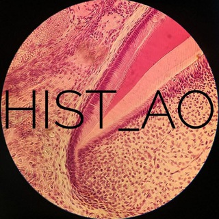 Telegram profile photo for HIST_AO