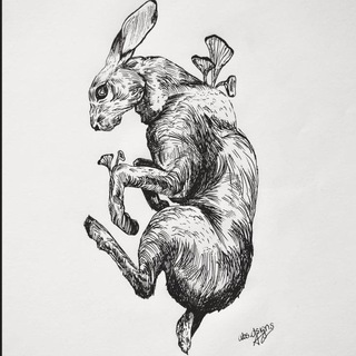 Telegram profile photo for говорящий том