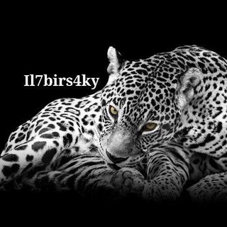 Telegram profile photo for «ILBIRSKY»ЗАКРЫТЫ.