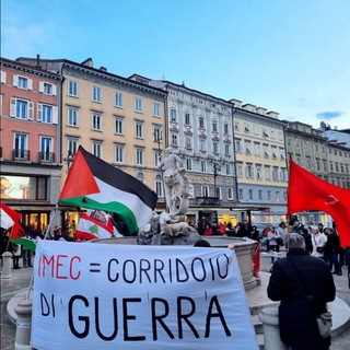 Telegram profile photo for Comitato No IMEC