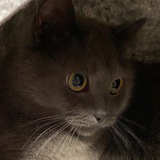 Telegram profile photo for ДМ!!!