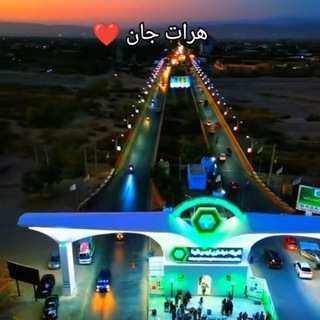 Telegram profile photo for گروه پشتون ظالم