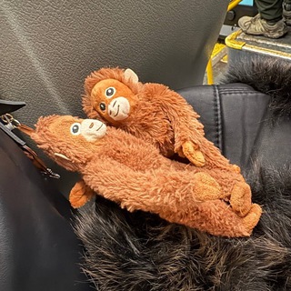 Telegram profile photo for Бибизянки 🐒
