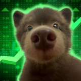 Telegram profile photo for Bear in Dog | Portal
