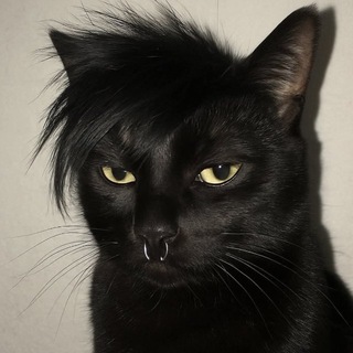 Telegram profile photo for линаива