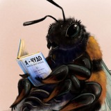 Telegram profile photo for Medani Craft