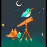 Telegram profile photo for Astronomy quizzes