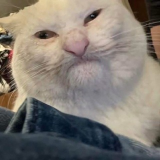 Telegram profile photo for Тусуюсь только с лучшими. Один.