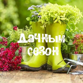 Telegram profile photo for ДАЧНЫЙ СЕЗОН