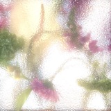 Telegram profile photo for es tre fig, demone