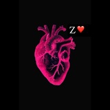 Telegram profile photo for z_ notes 🫀