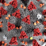 Telegram profile photo for COVID-19 Info Links