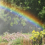 Telegram profile photo for Rainbow