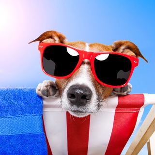 Telegram profile photo for 🔴Выходной PRO|Москва, дети, афиша