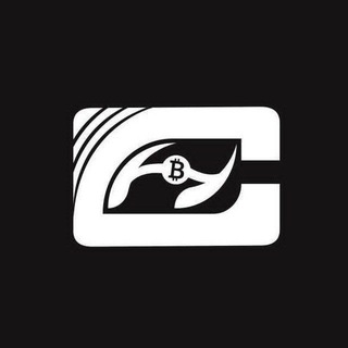 Telegram profile photo for 𝗮𝗺𝗼𝘇𝗲𝘀𝗵 𝘁𝗿𝗮𝗱𝗲𝗵𝗮𝗱𝗶
