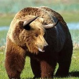 Telegram profile photo for 🐻Бычий путь Медведя🐻