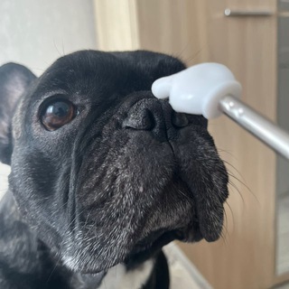 Telegram profile photo for вацок 2