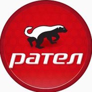 Telegram profile photo for ПСК РАТЕЛ ИНЖИНИРИНГ