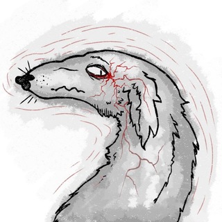 Telegram profile photo for нервный псинапс (бывш. жаба в шляпе)