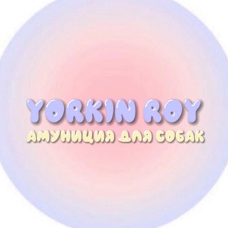 Telegram profile photo for Yorkin.Roy