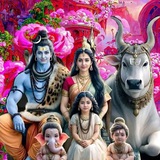 Telegram profile photo for TOSS FIX JAI SHREE RAM