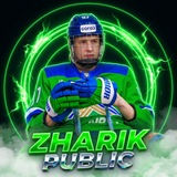 Telegram profile photo for Zharik Public 🏒💚