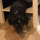 Telegram profile photo for Джордж