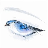 Telegram profile photo for 保护伞官方频道