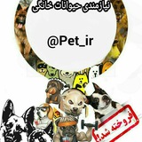 Telegram profile photo for تبلیغات