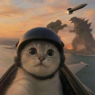Telegram profile photo for 约炮搭讪文案教学群