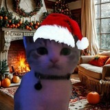 Telegram profile photo for Haytman