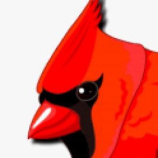 Telegram profile photo for PájaroRojo
