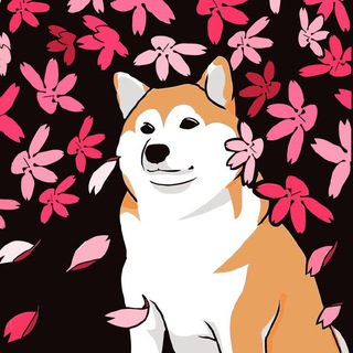 Telegram profile photo for задумчивый ину