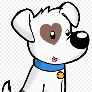 Telegram group profile photo for Nekrasovka_Dogs
