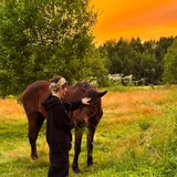Telegram profile photo for Заметки бабушки Кати