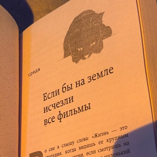 Telegram profile photo for киносалага