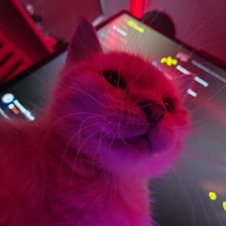 Telegram profile photo for Ищу тебя Нижневартовск