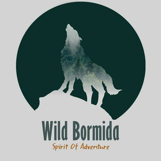 Telegram profile photo for Wild Bormida News