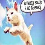 Telegram profile photo for ✃ Свинюшник 666