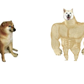 Telegram profile photo for $NEIRO MEMES