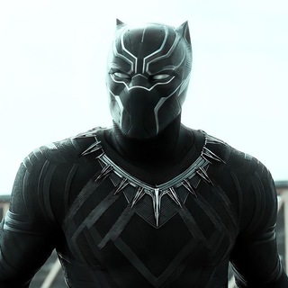 Telegram profile photo for 🇿🇦 — Black Panthers